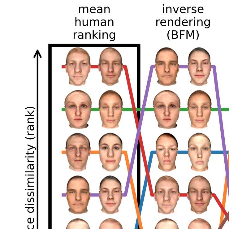 Distinguishing representational geometries with controversial stimuli: Bayesian experimental design and its application to face dissimilarity judgments