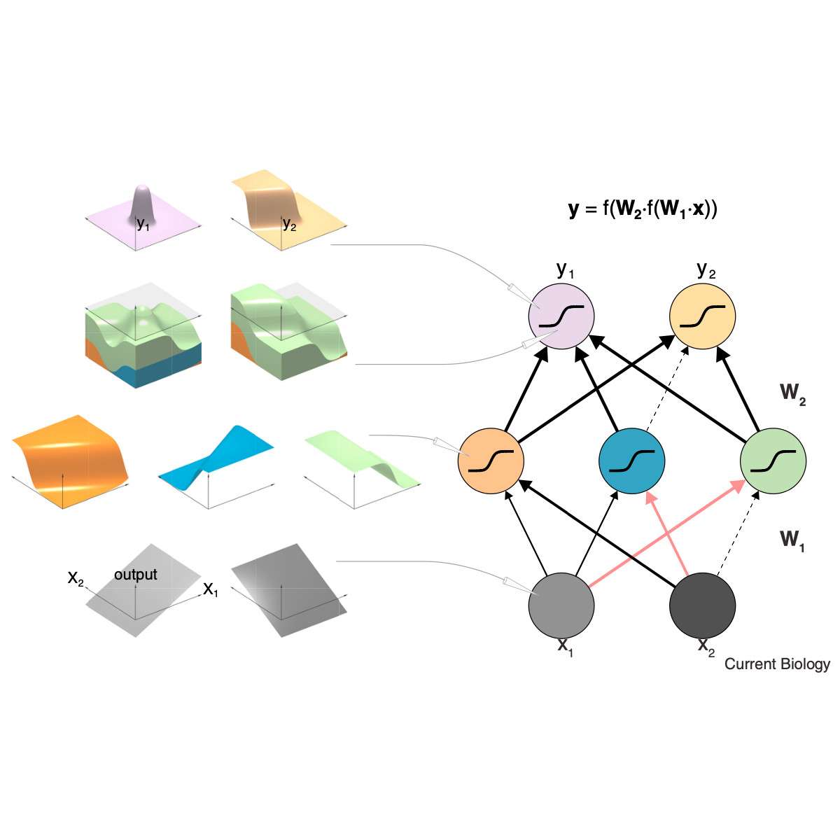 Neural network models and deep learning